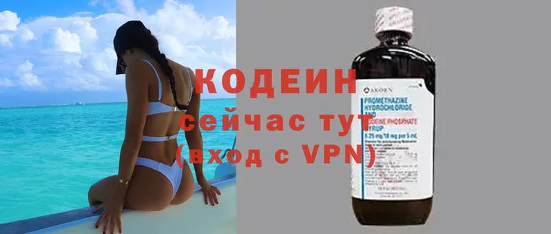 Кодеин Purple Drank  ссылка на мегу маркетплейс  Кинешма  купить наркотики сайты 