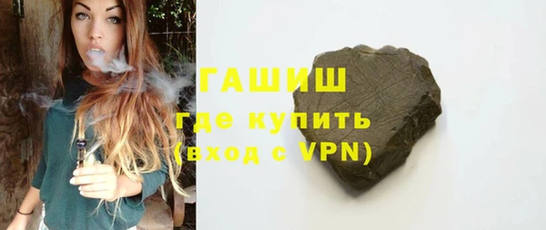 индика Осинники