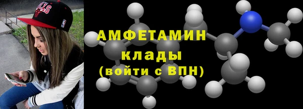 индика Осинники