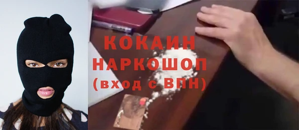 индика Осинники