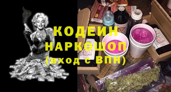 СК Няндома