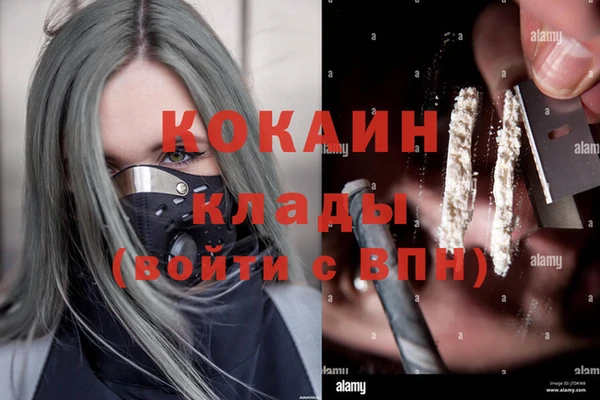 индика Осинники
