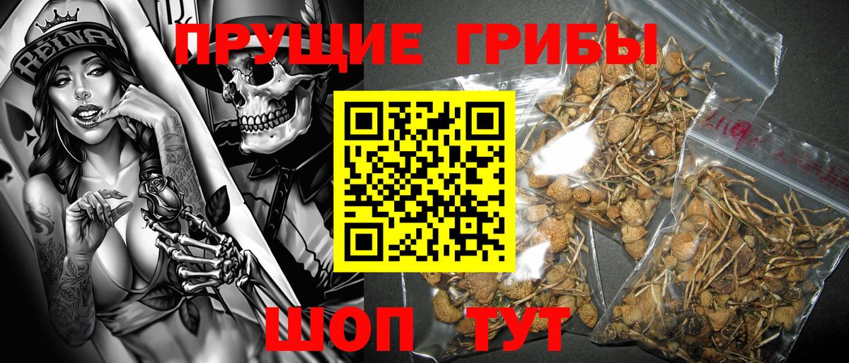 Псилоцибиновые грибы ЛСД Кинешма