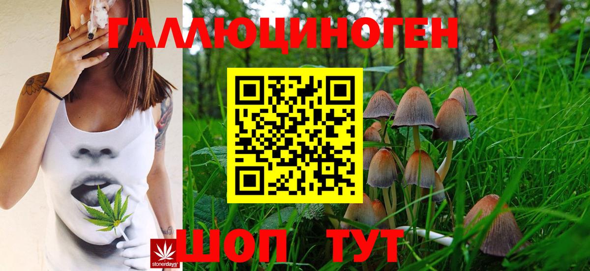Псилоцибиновые грибы MAGIC MUSHROOMS  Вход с VPN  где купить наркотик  Кинешма 